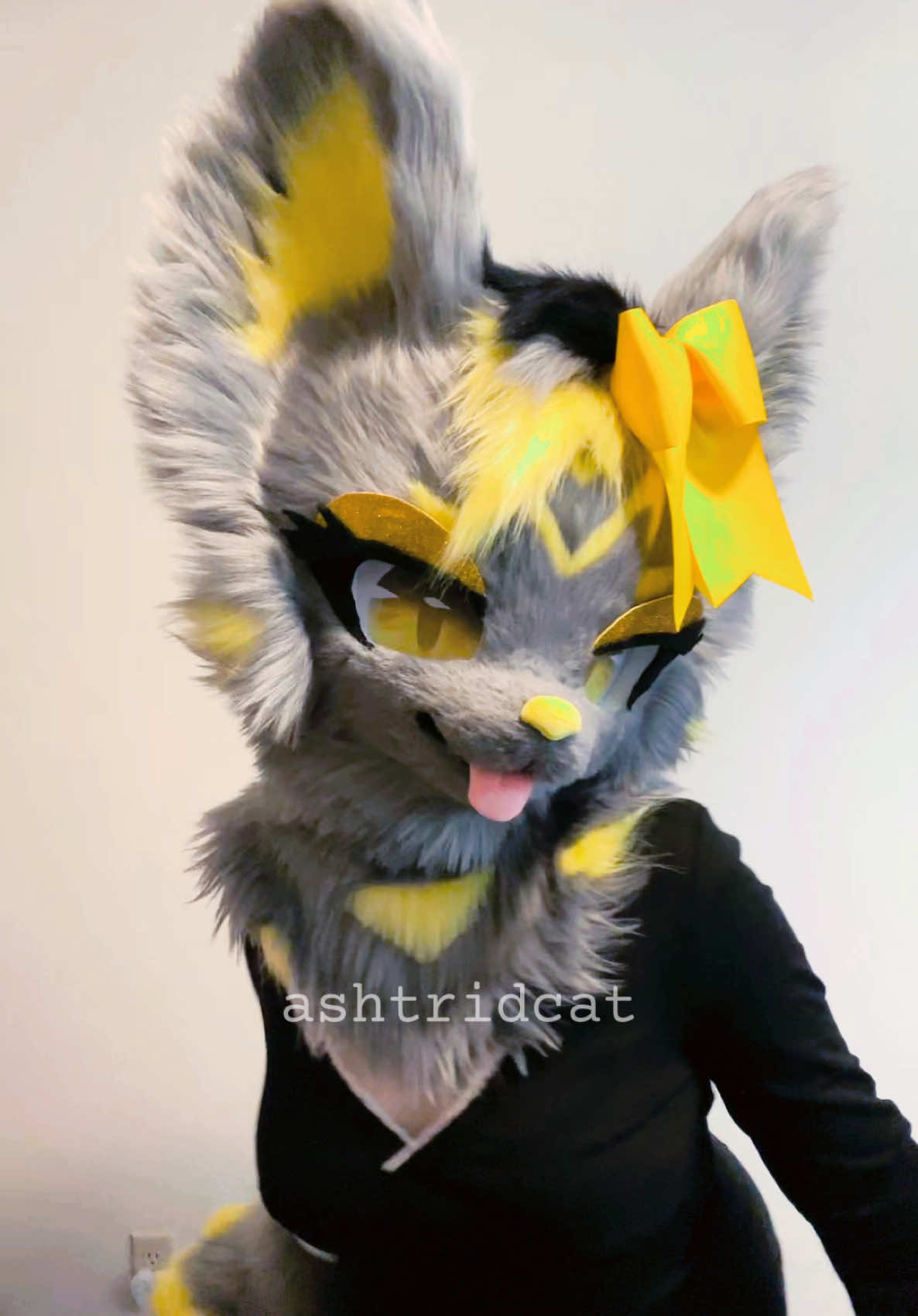 @AshtridCat
