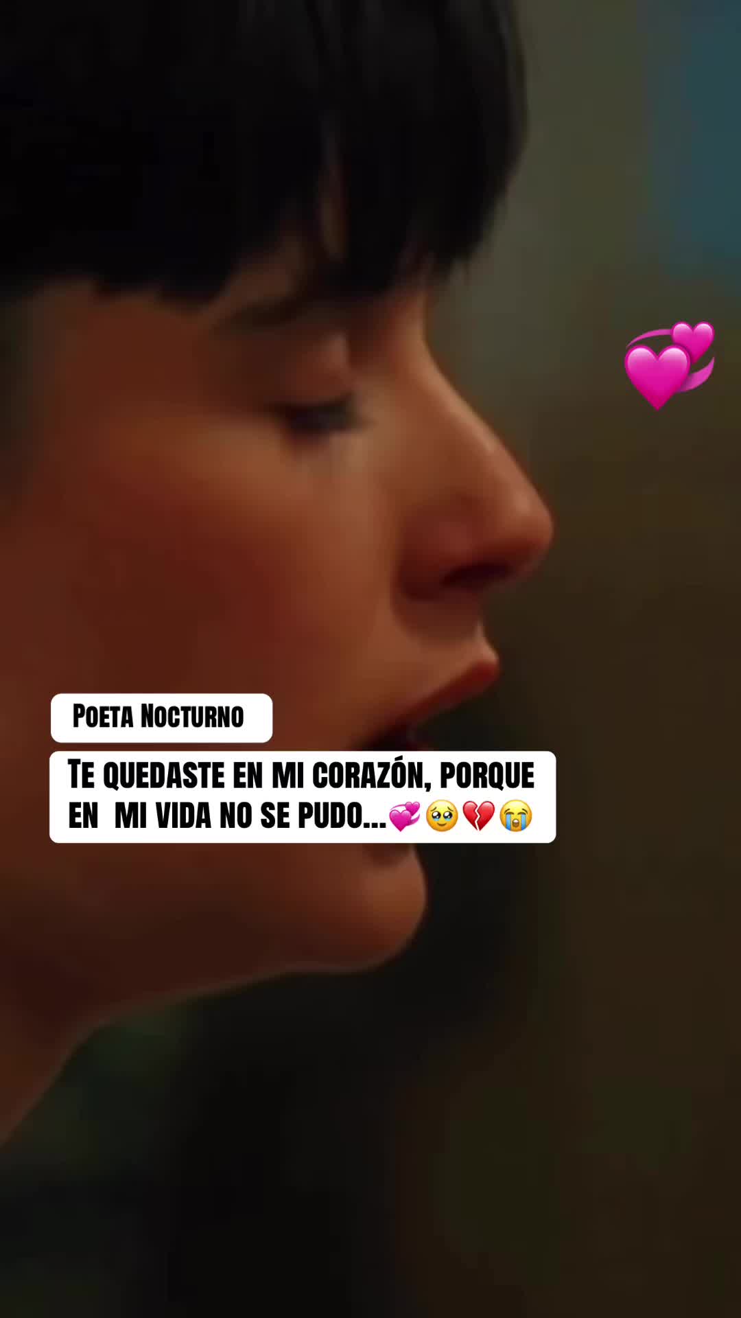@Poeta Nocturno 503