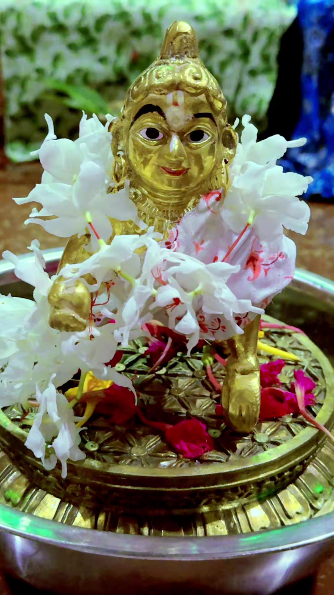 @🇧🇩prema Roy Puja🇸🇬🇲🇾