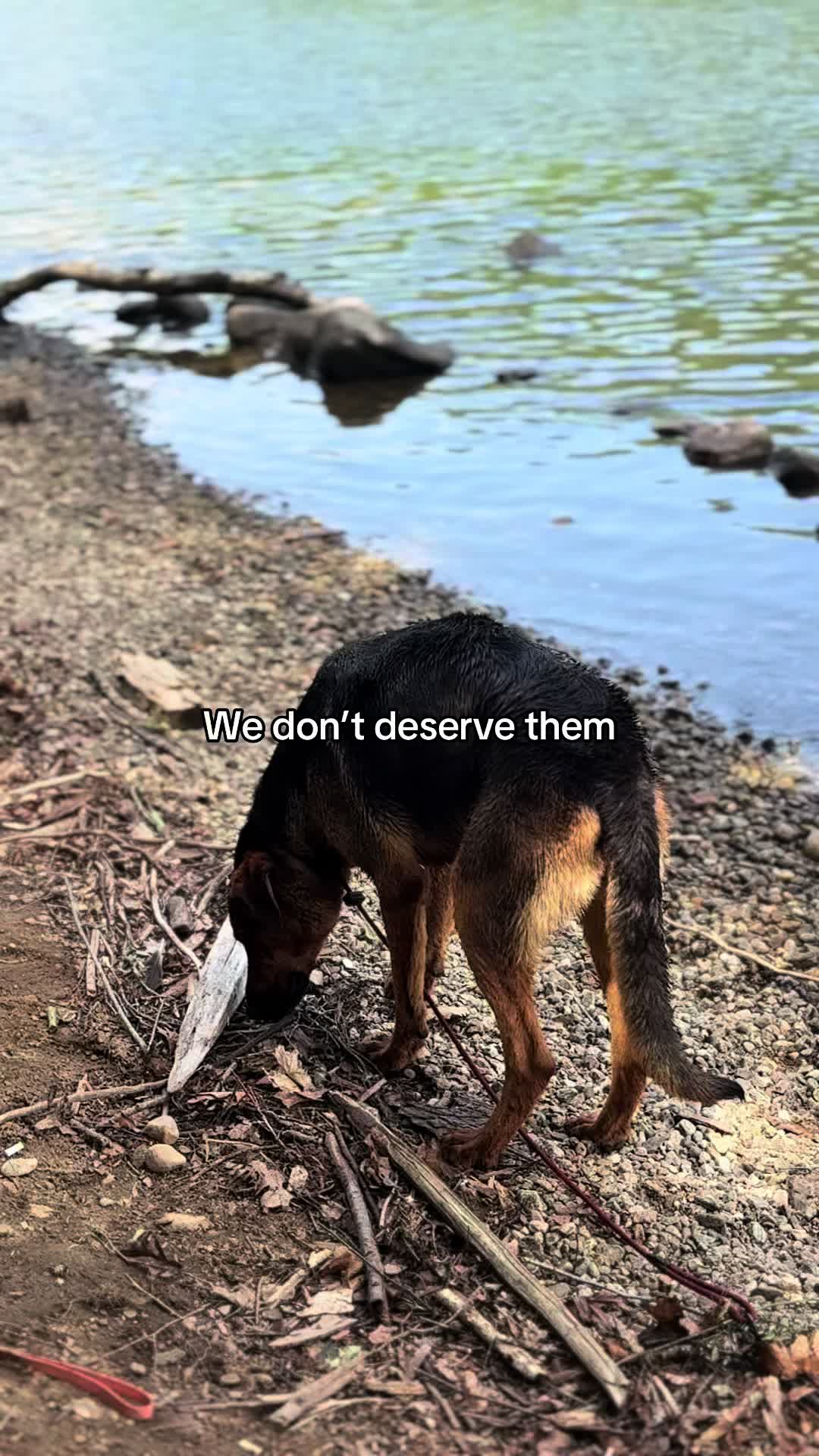 @₲ⱧØ︎₴₮