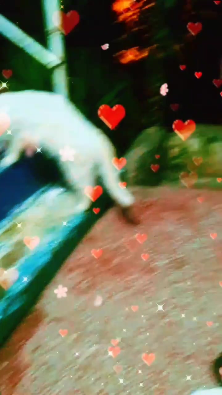 @RiM✨Blşha