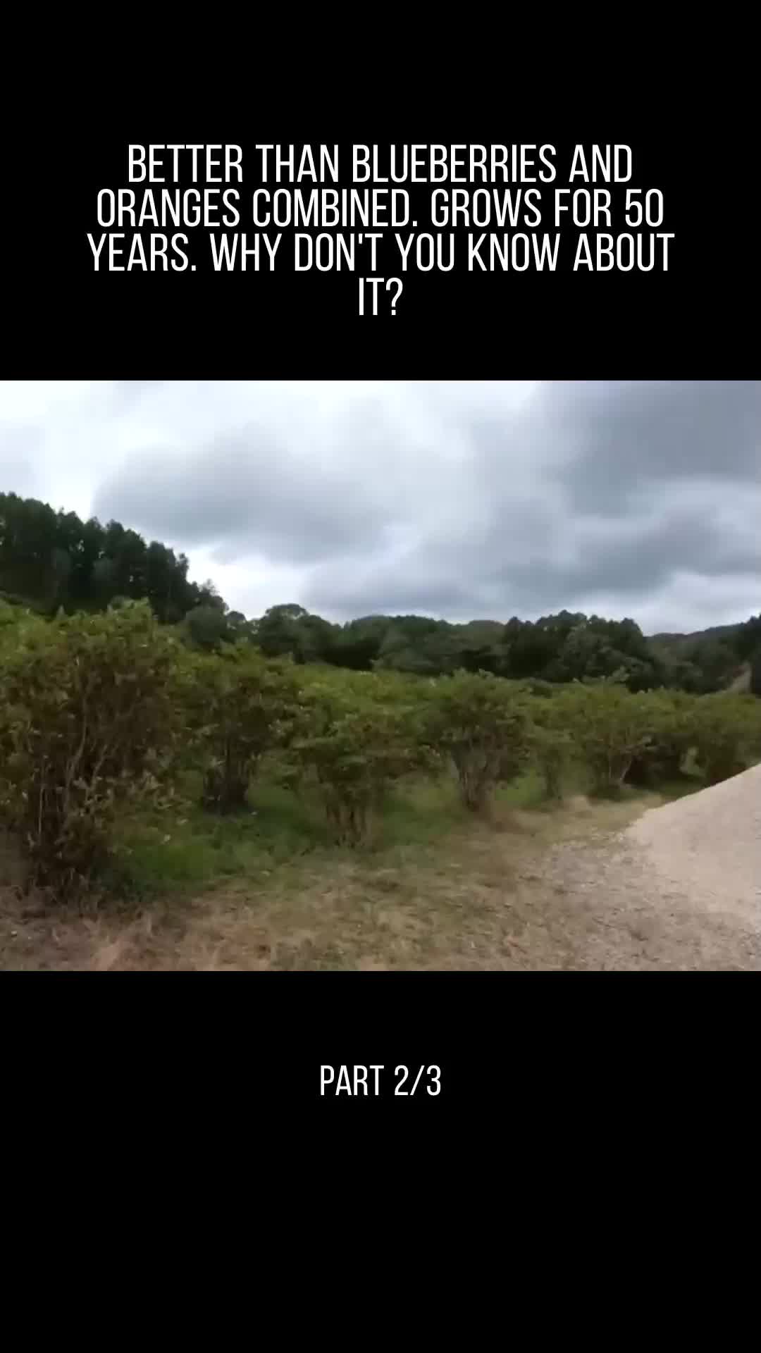 @user32331650853717