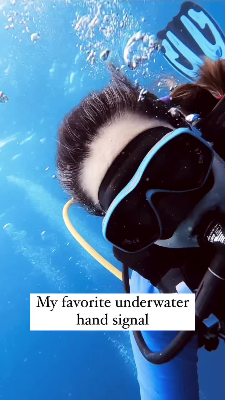 @Scuba Diving with Ara