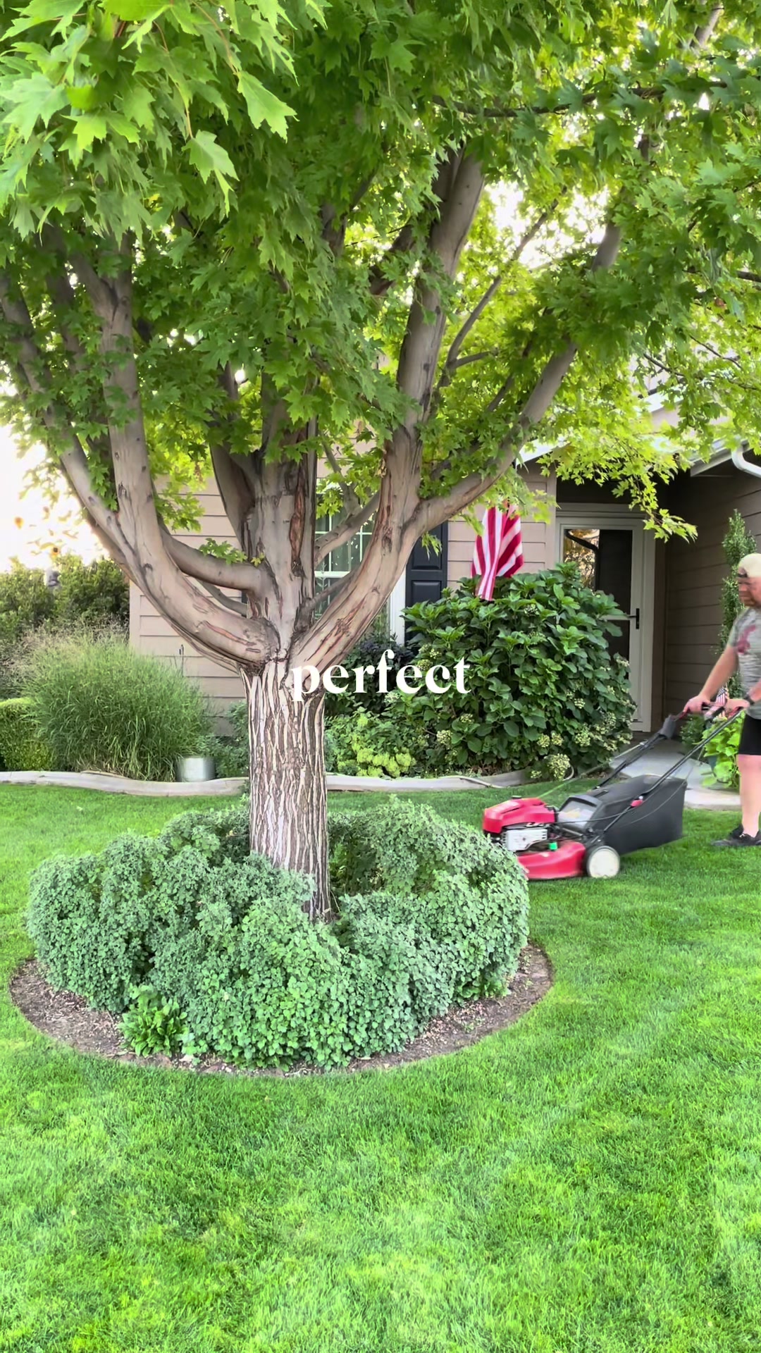 @backyardBeeg