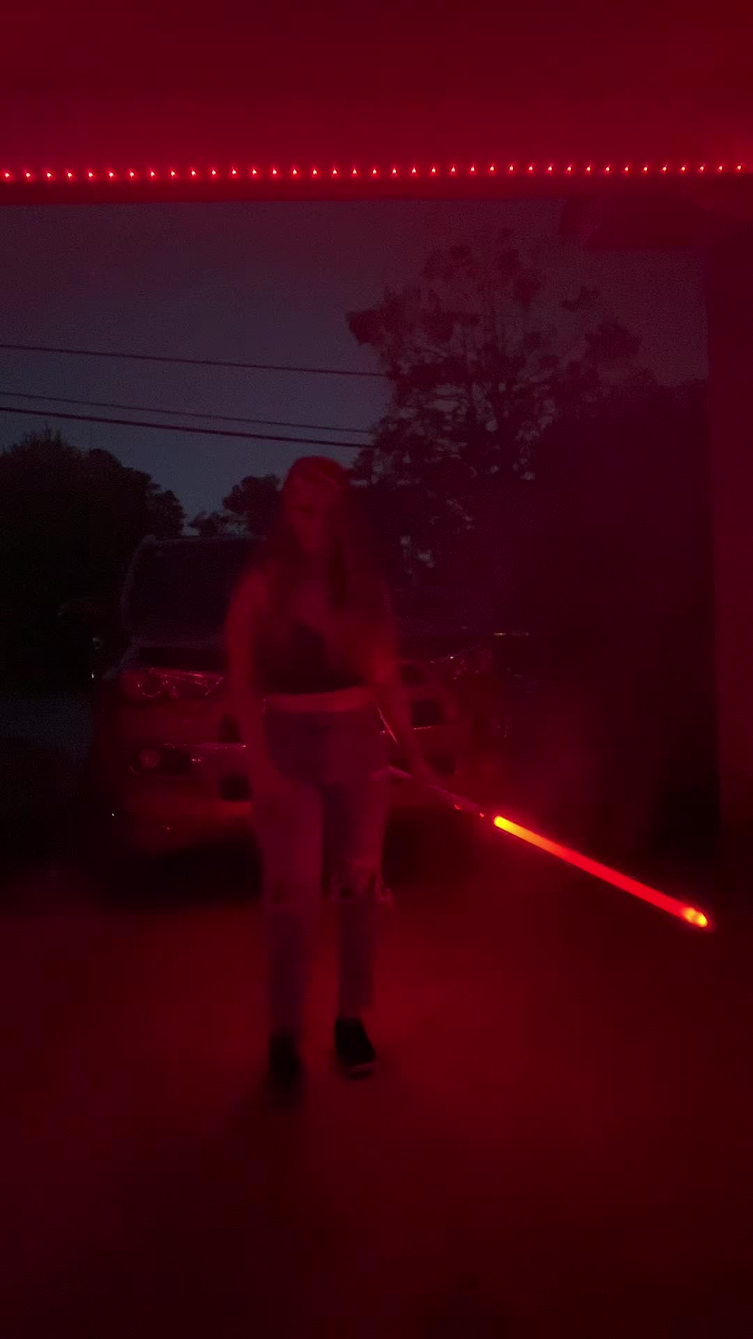 @saberqueentiger