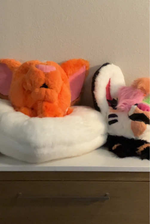 @Liger~Liger🐾🍉