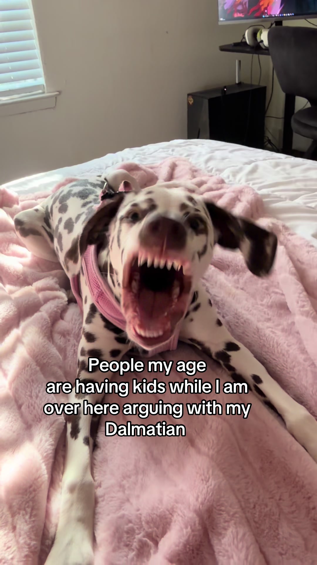 @Corinne Olivia