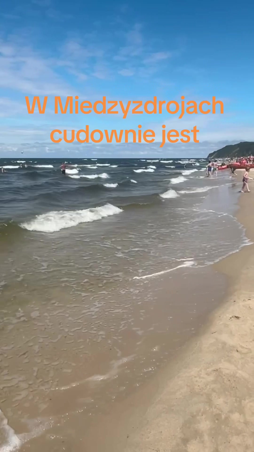 @🐶🐱 Babat 🐕🐈&zwj;⬛