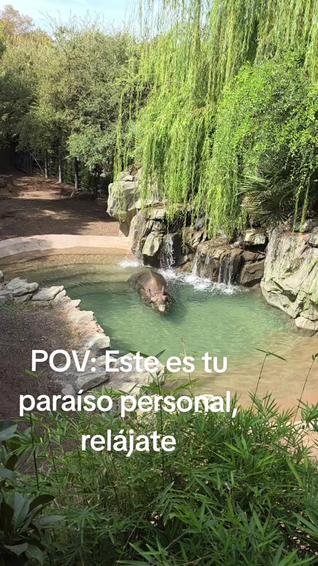 @jose🤠