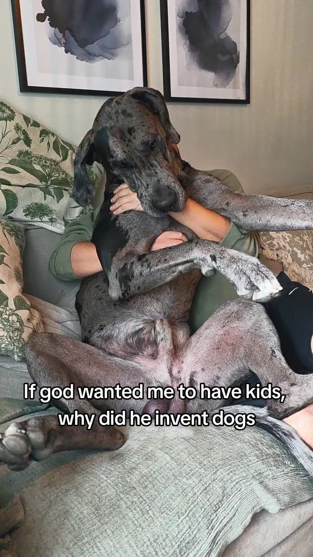 @Magnus the GREAT DANE