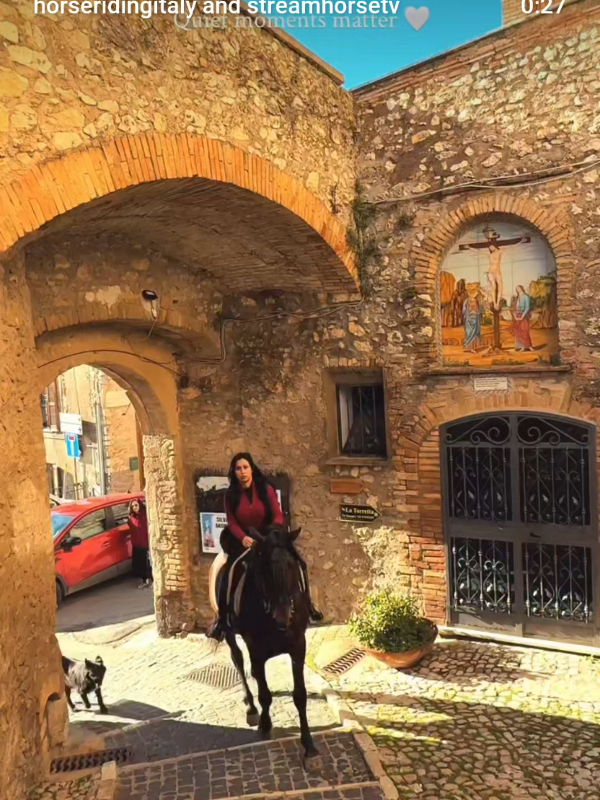 @streamhorse