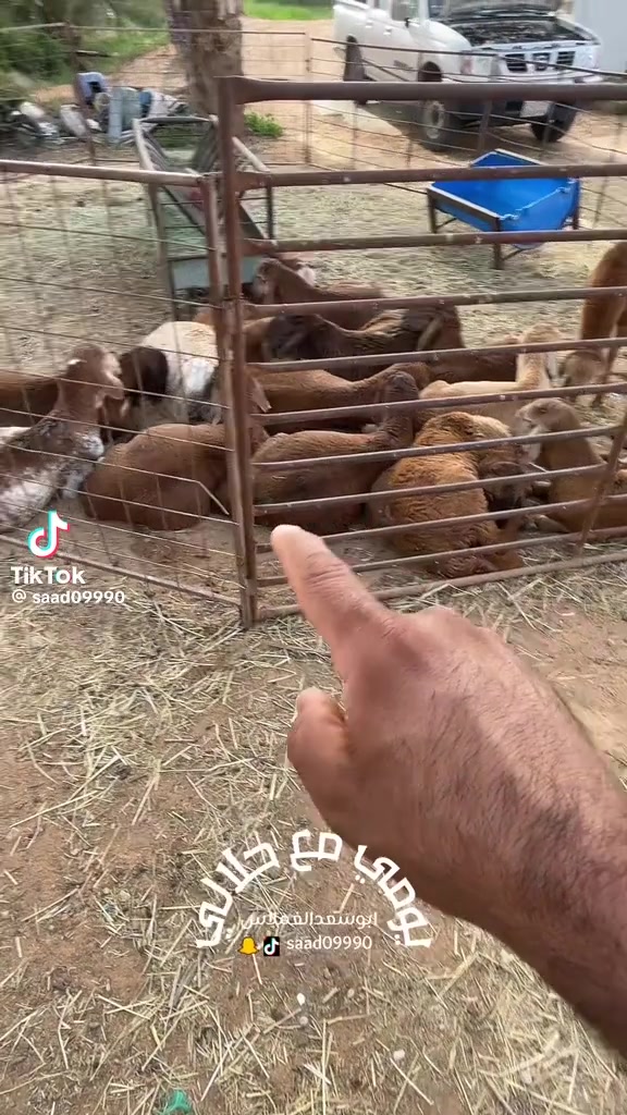 @mohamed_ksa0