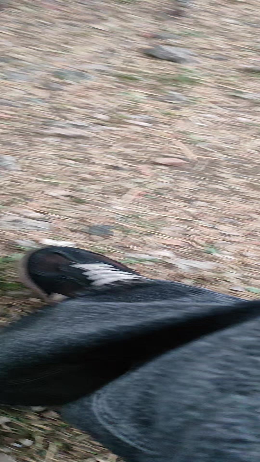 @mtb_rider