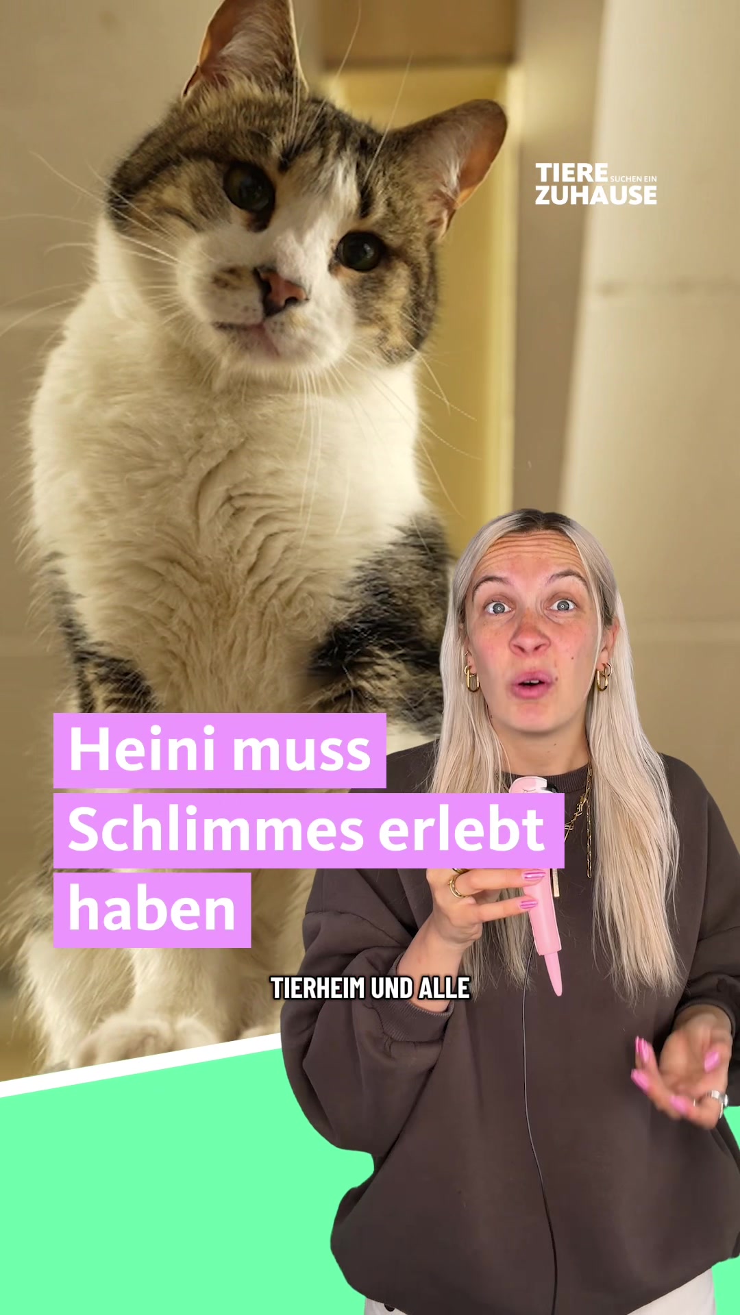 @Tiere suchen ein Zuhause