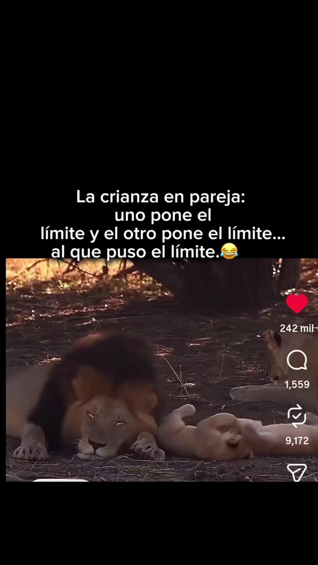@LUNA Y BRUNO