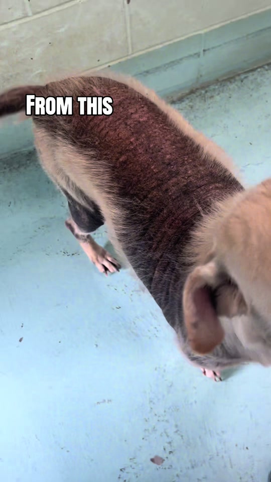 @Cedarhill Animal Sanctuary