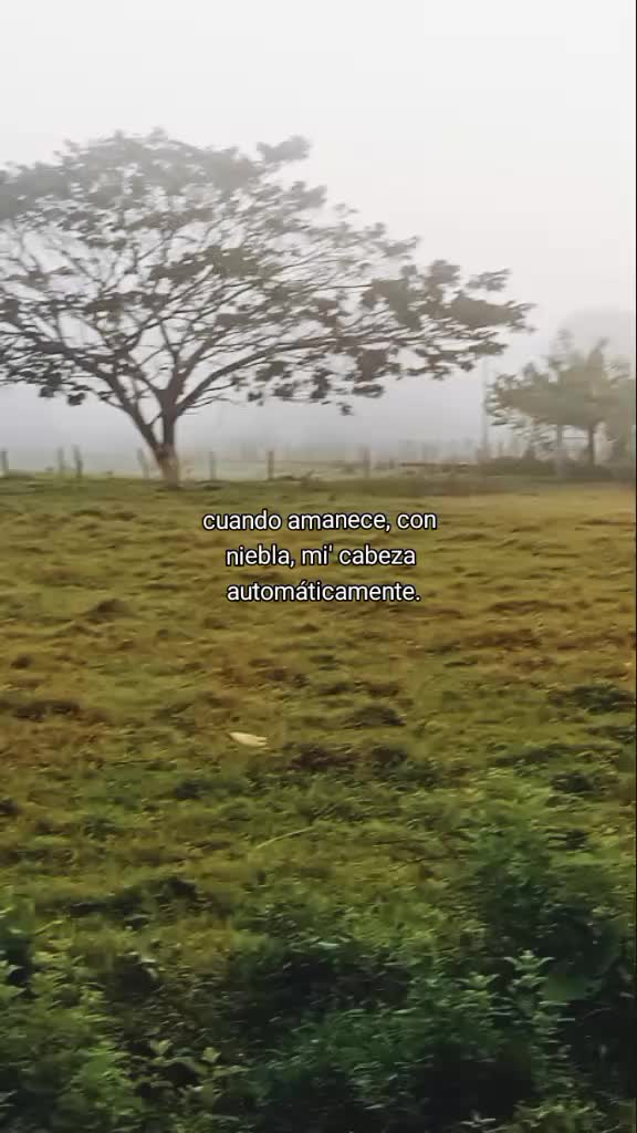 @𝙎𝙖𝙞𝙧𝙞