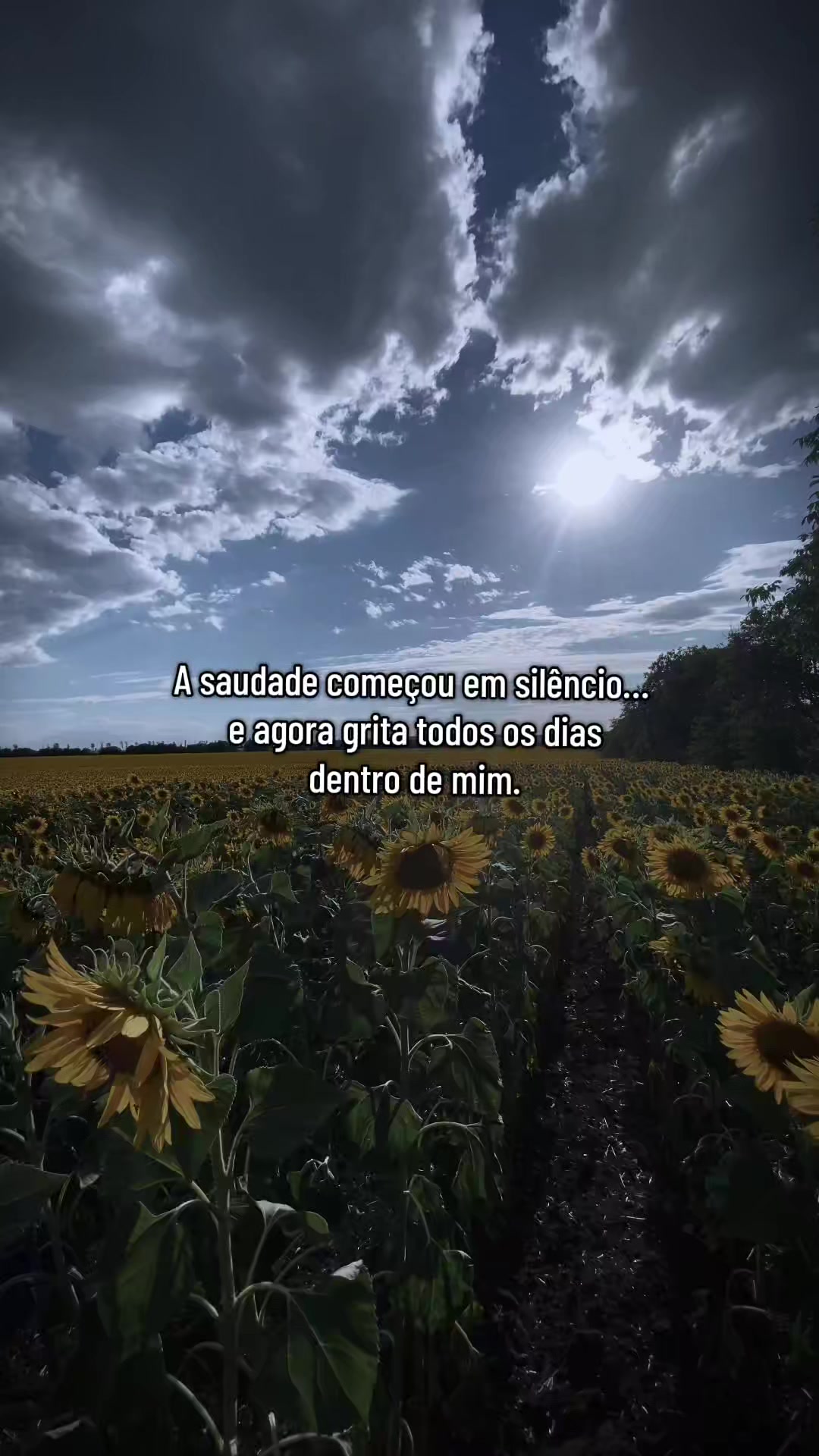 @Conselho Emocional