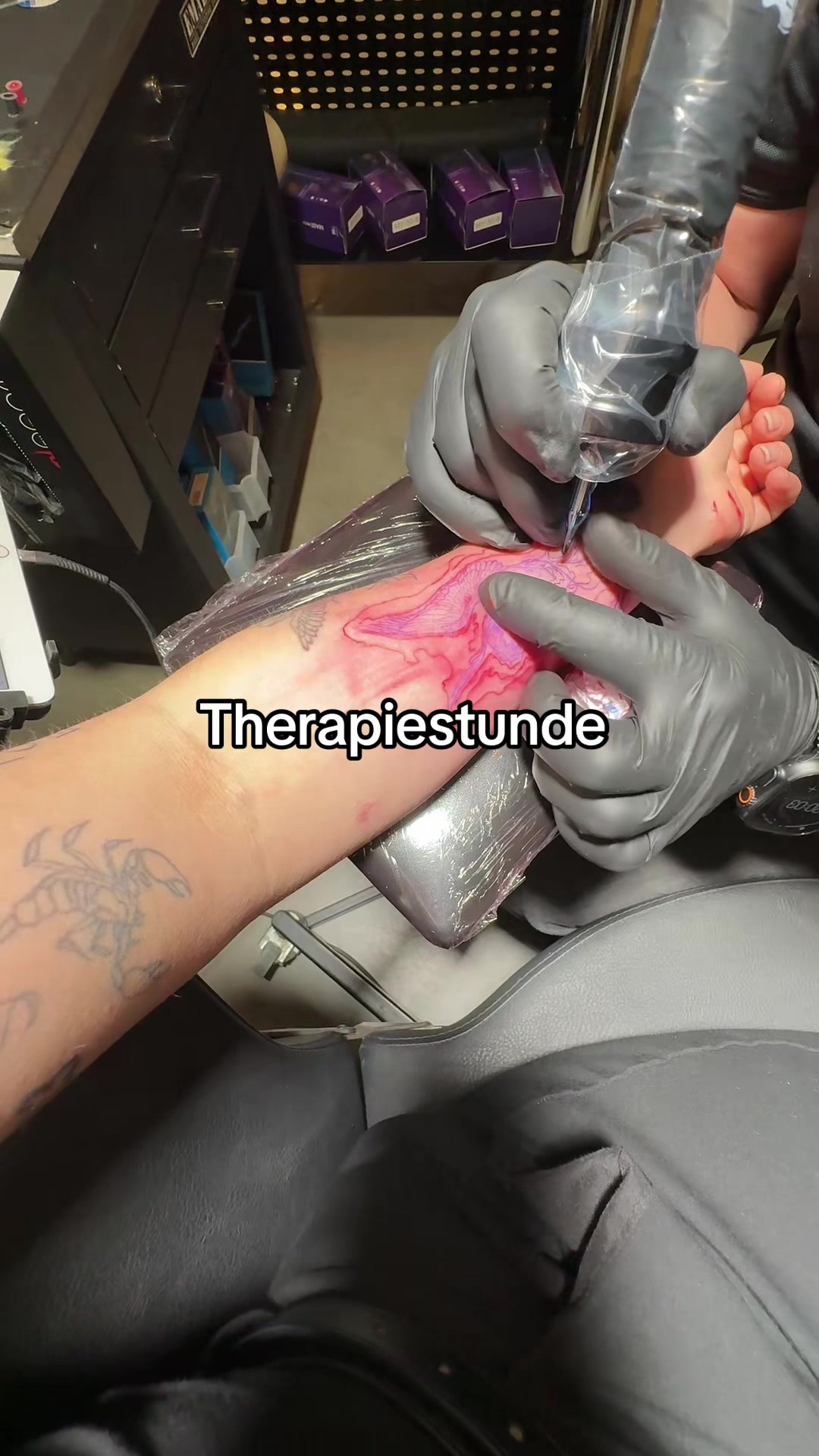 @Babsi 🦂