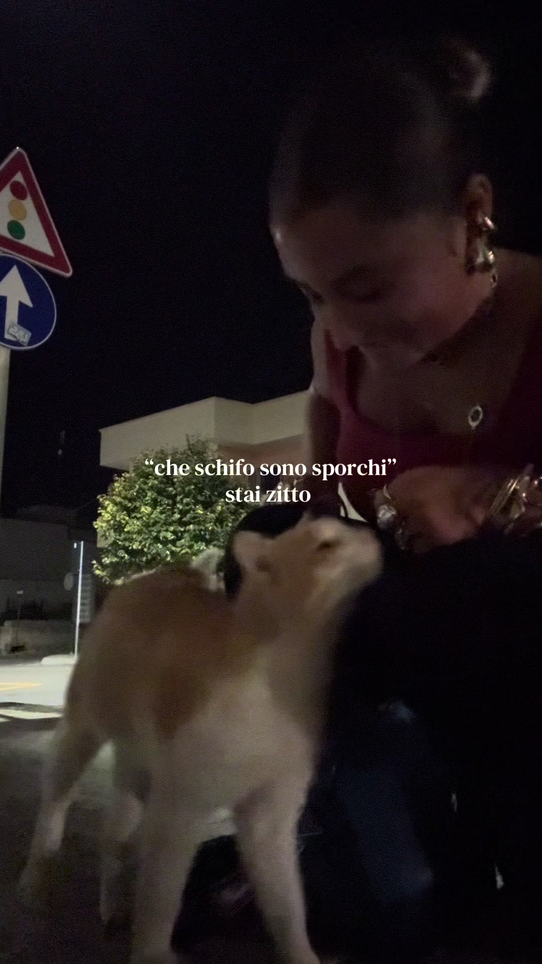 @flaviett