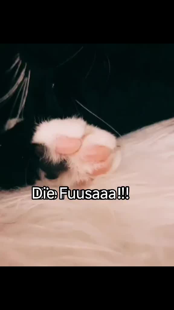 @nici_klein