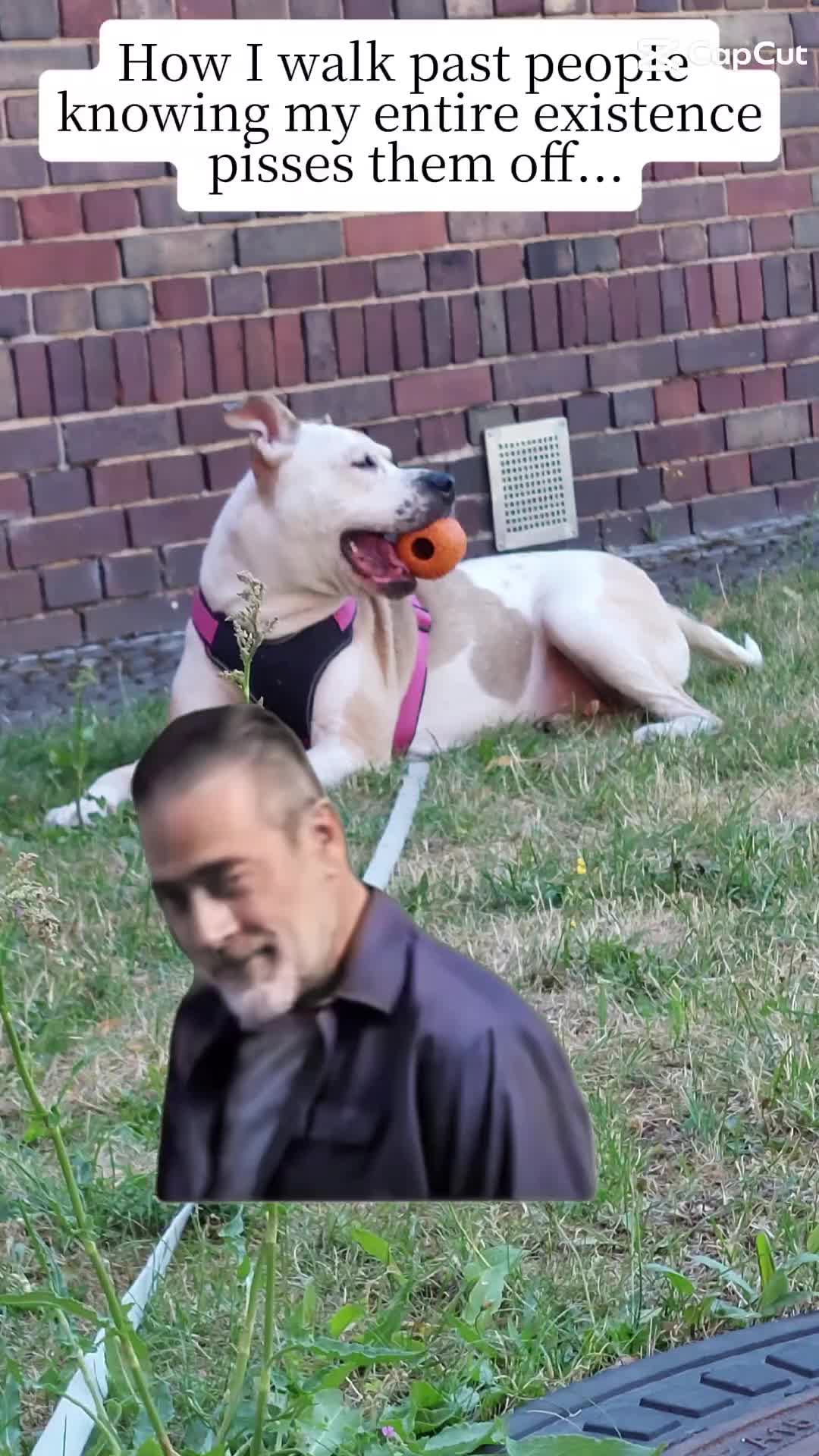 @deleted_user