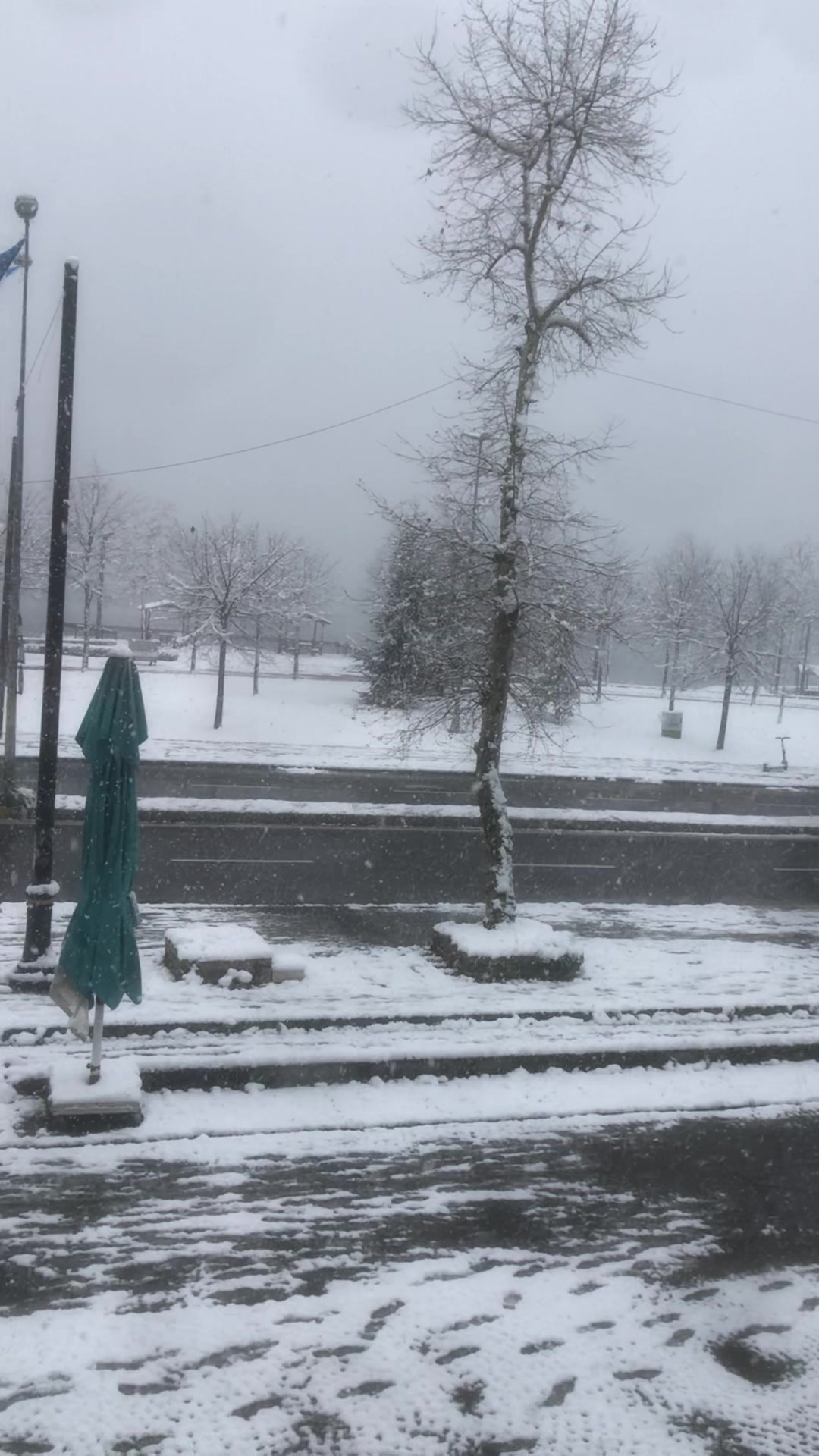 @azad &ccedil;elik