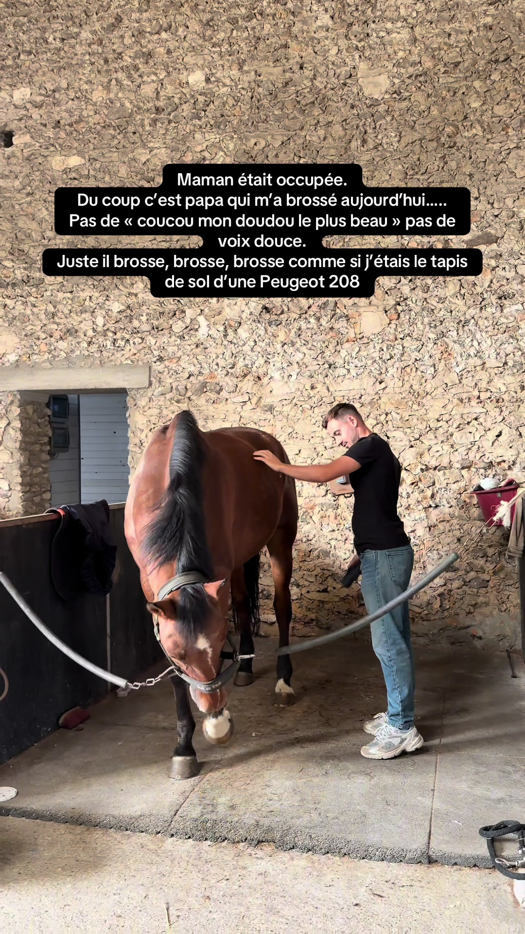 @Laurie et Mathieu 🐴