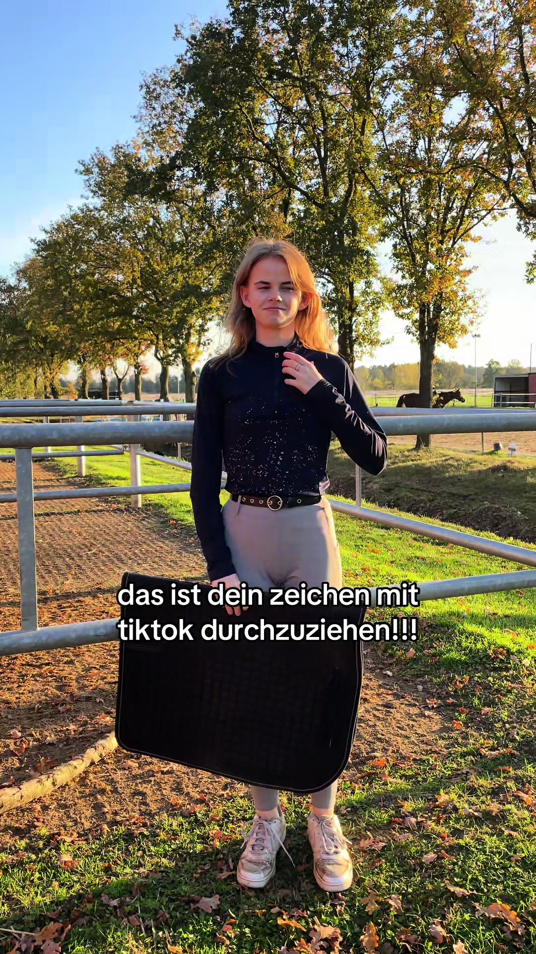 @LENIA&GINGO