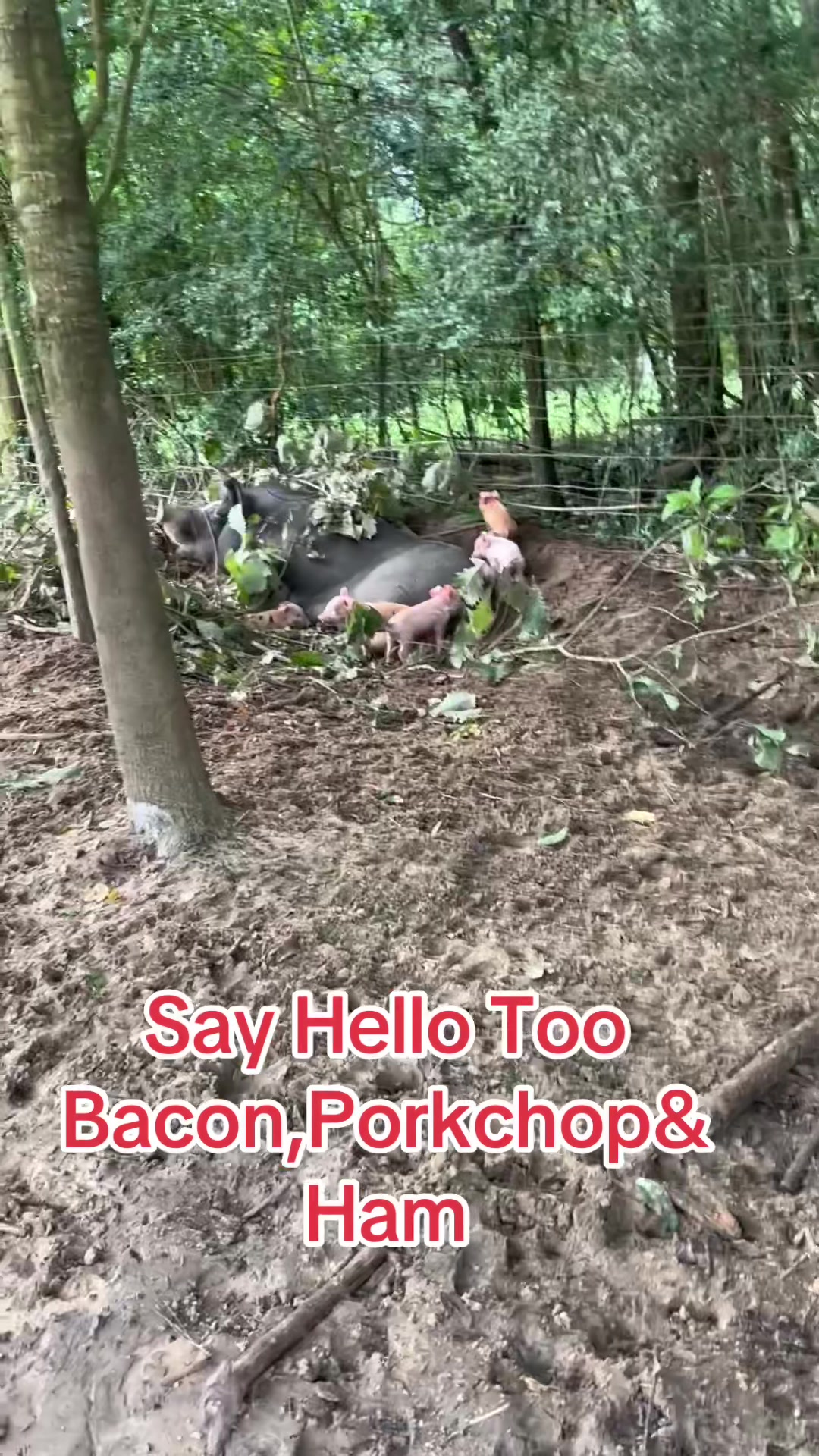 @devotedsportsmen23