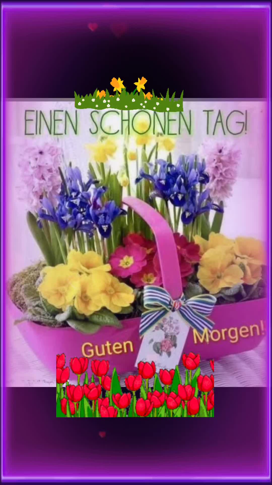 @christiane 64