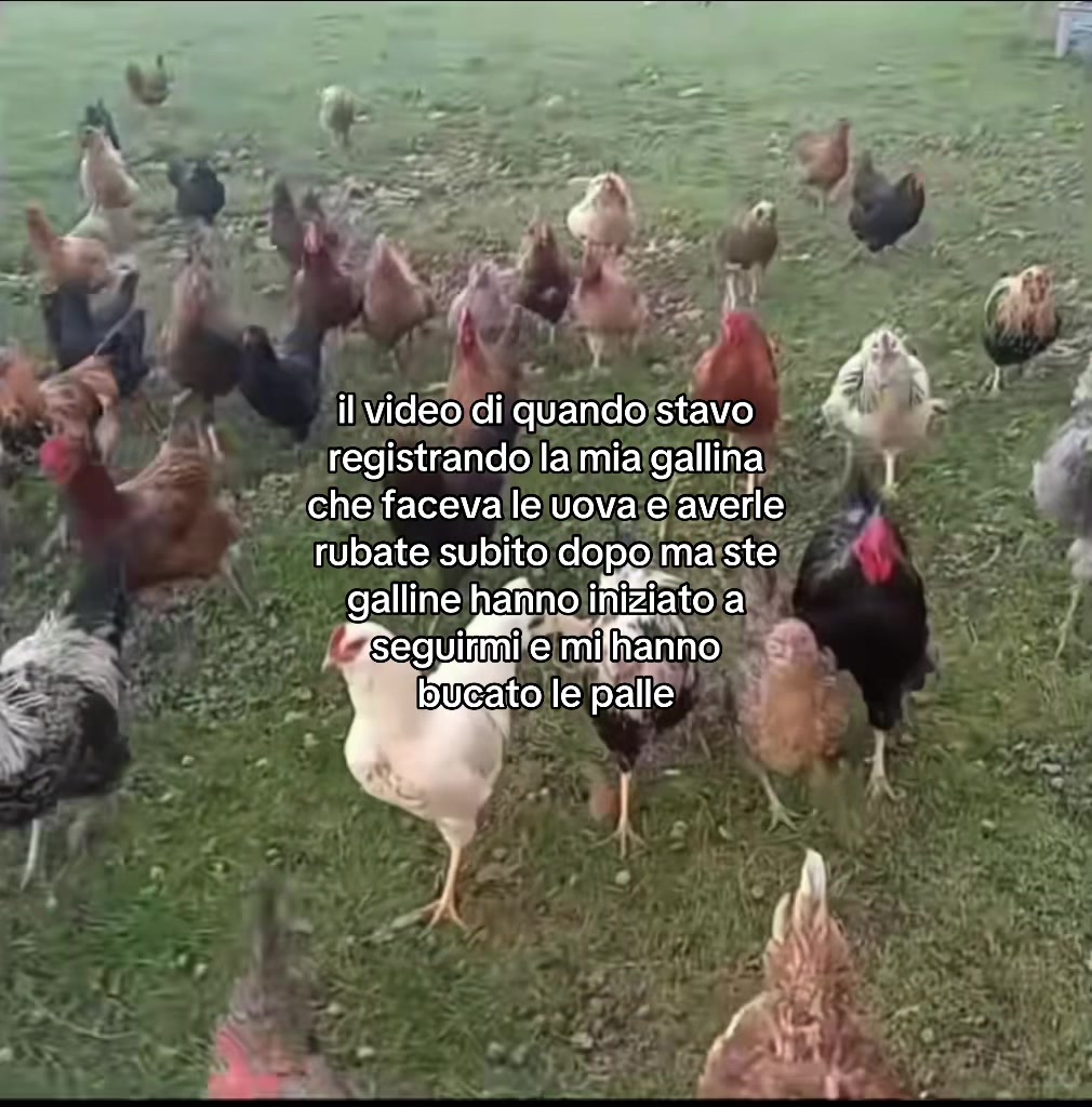 @autisticgirl