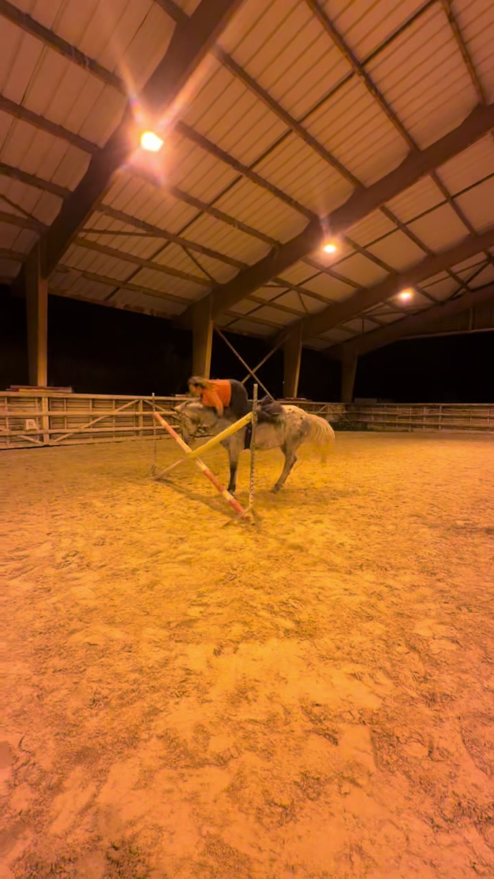 @Motarde_Camioneuse