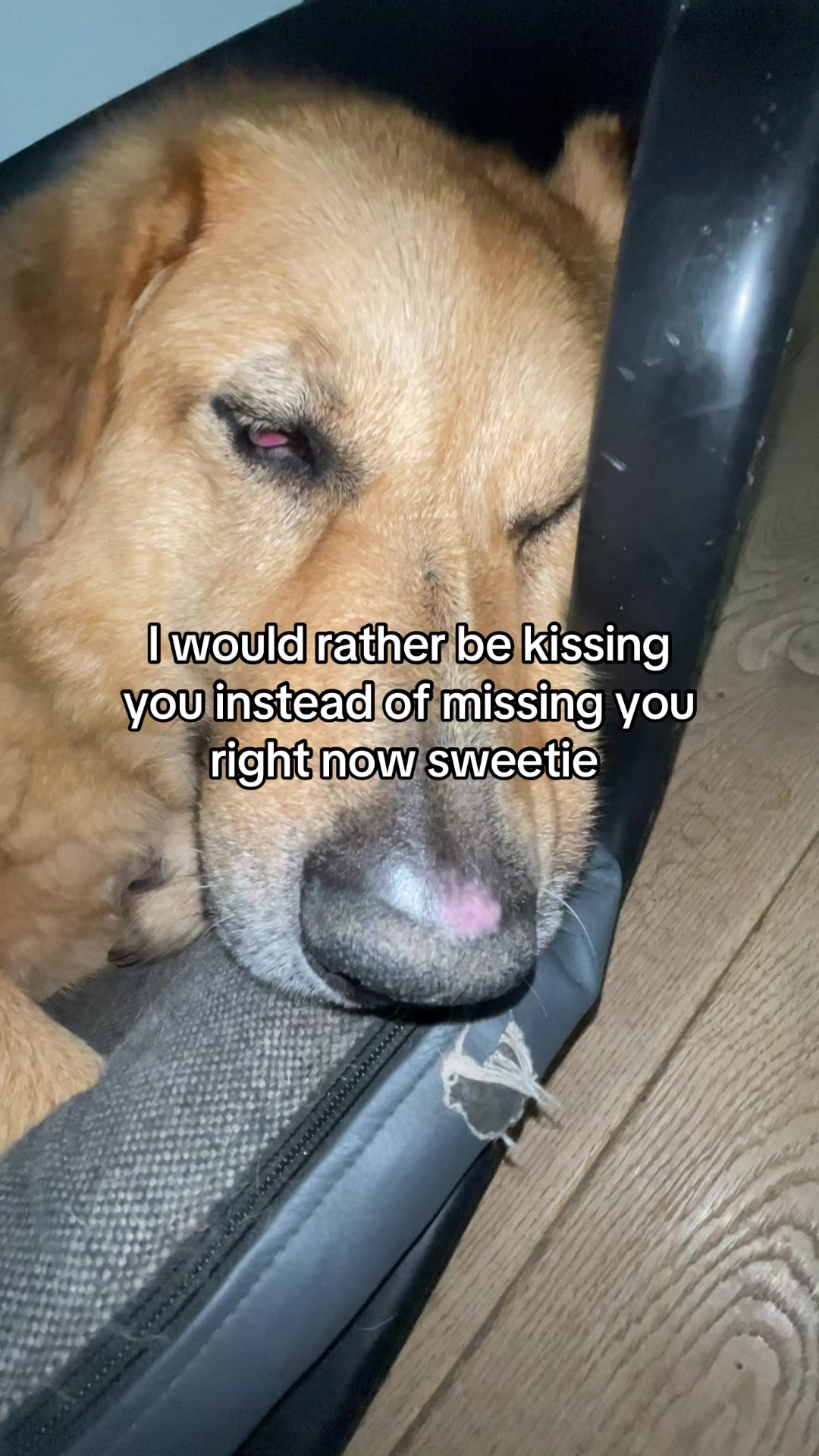 @Neo