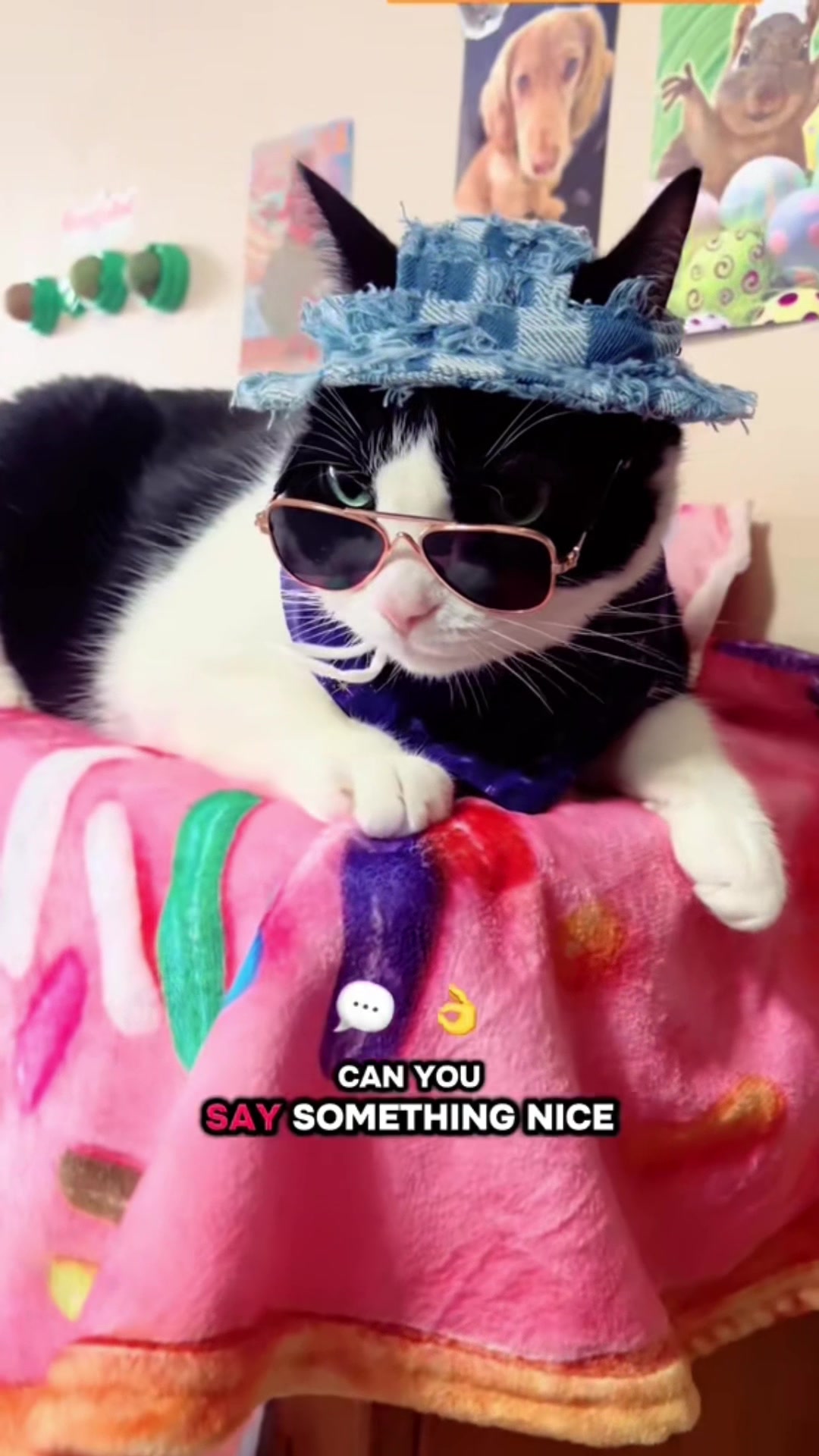 @Concerned_Kitty