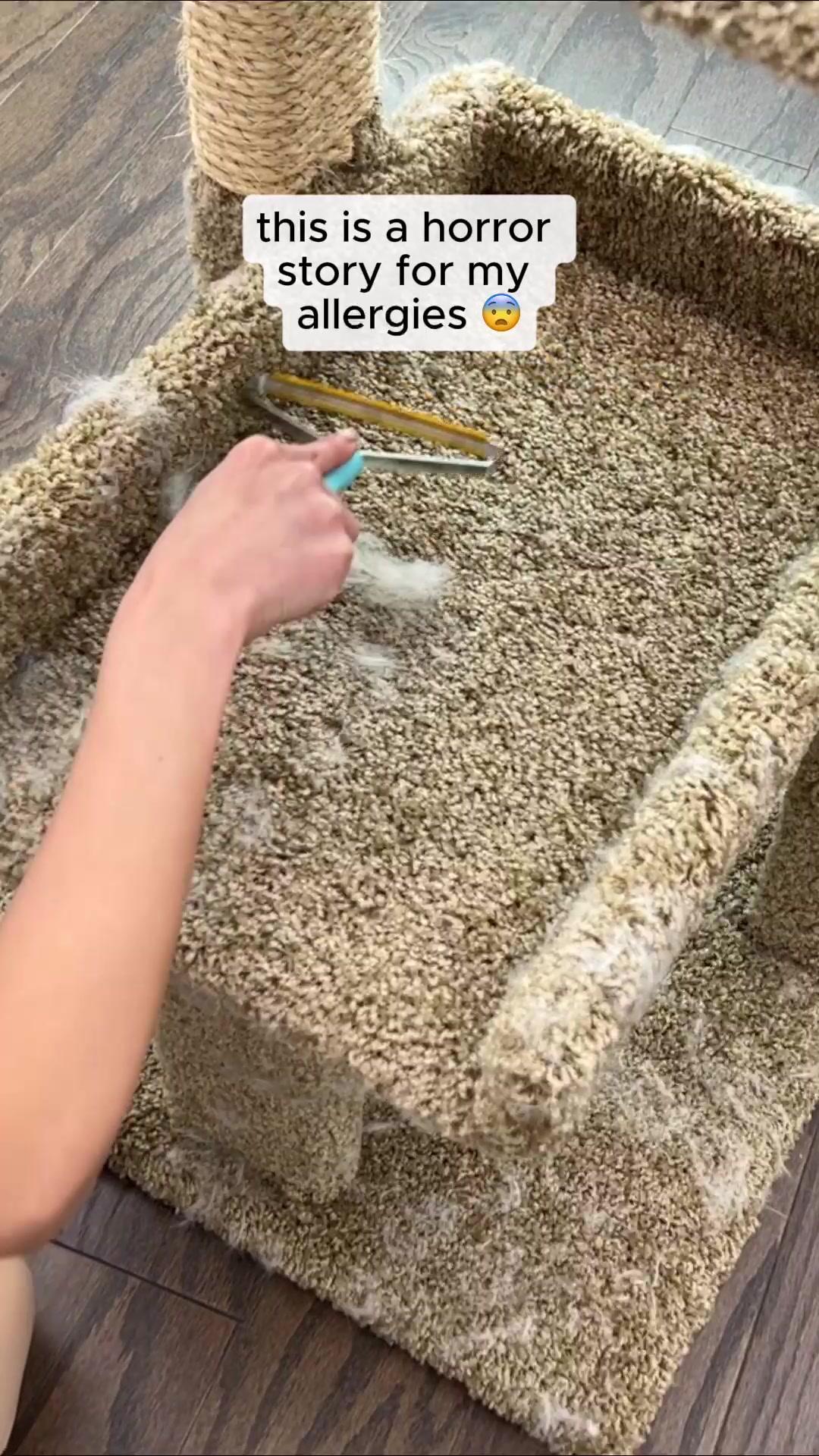 @Uproot Clean