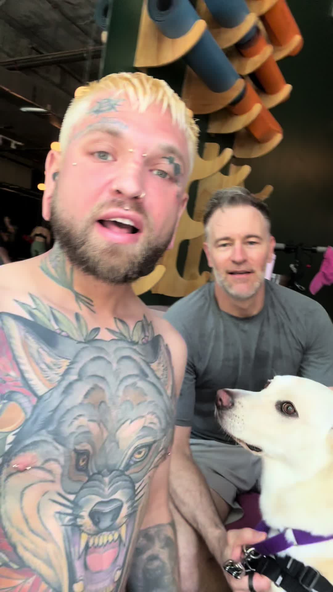 @balancedcanineacademy
