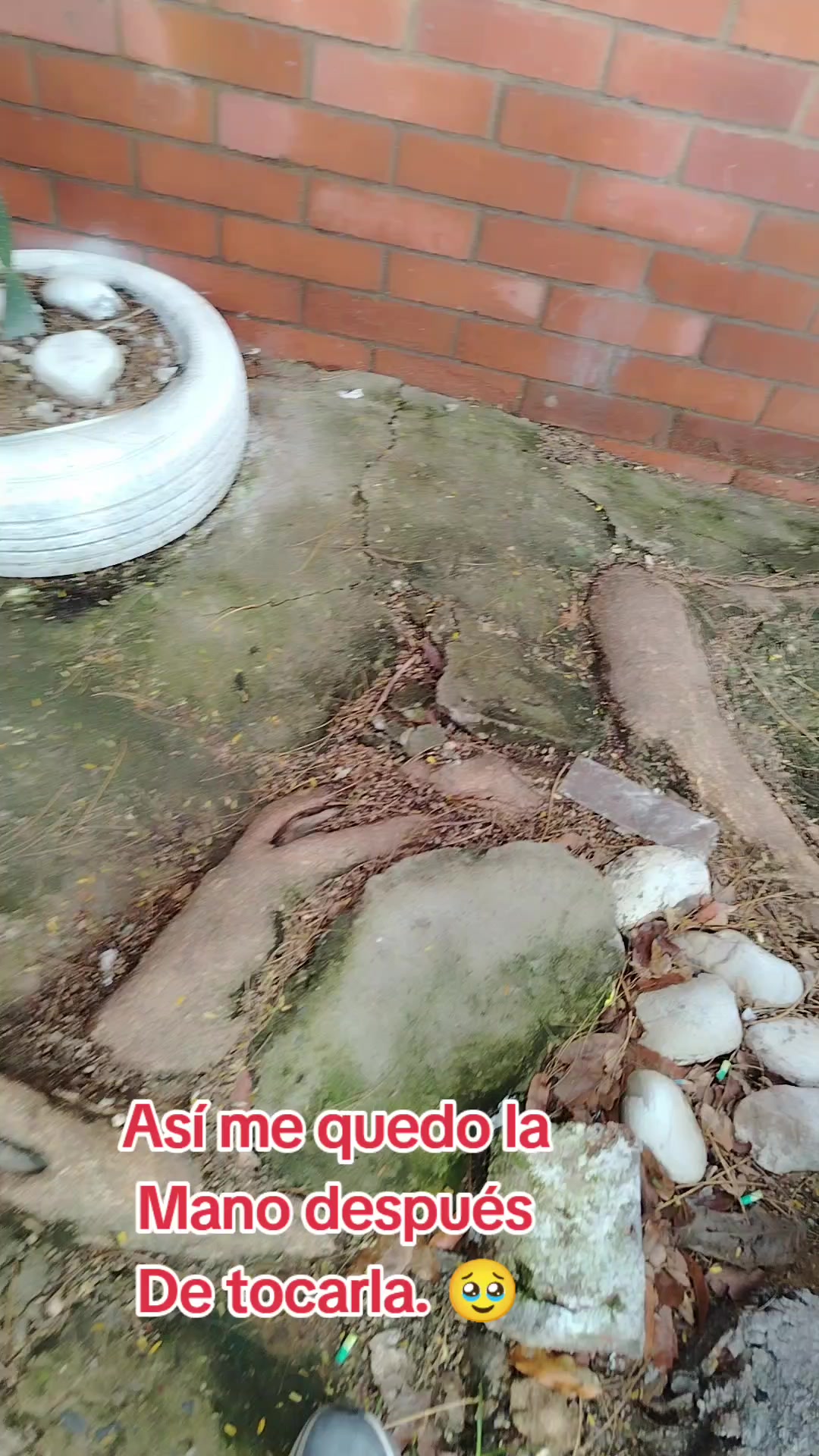 @german29a