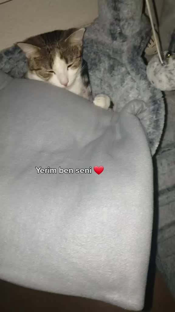 @Minnoş❤💙61