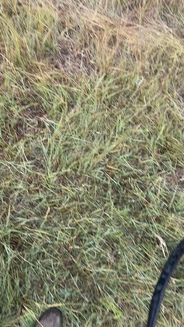 @Javier| Nebraska Ranch