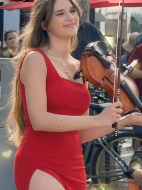 @Violin usa