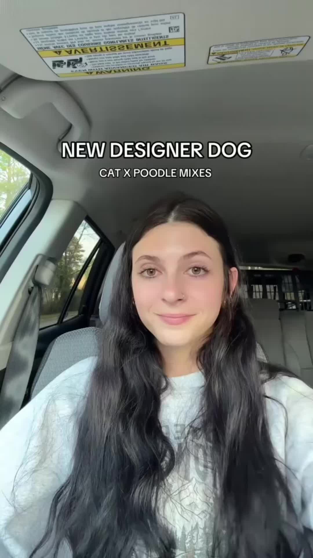 @TinySuburbanFarm
