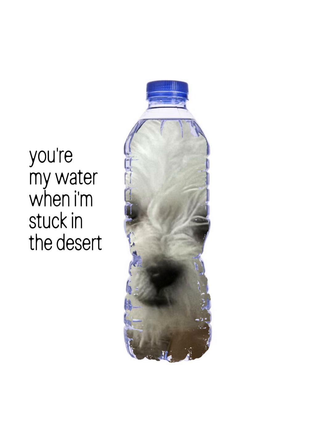 @Sunny Cortez