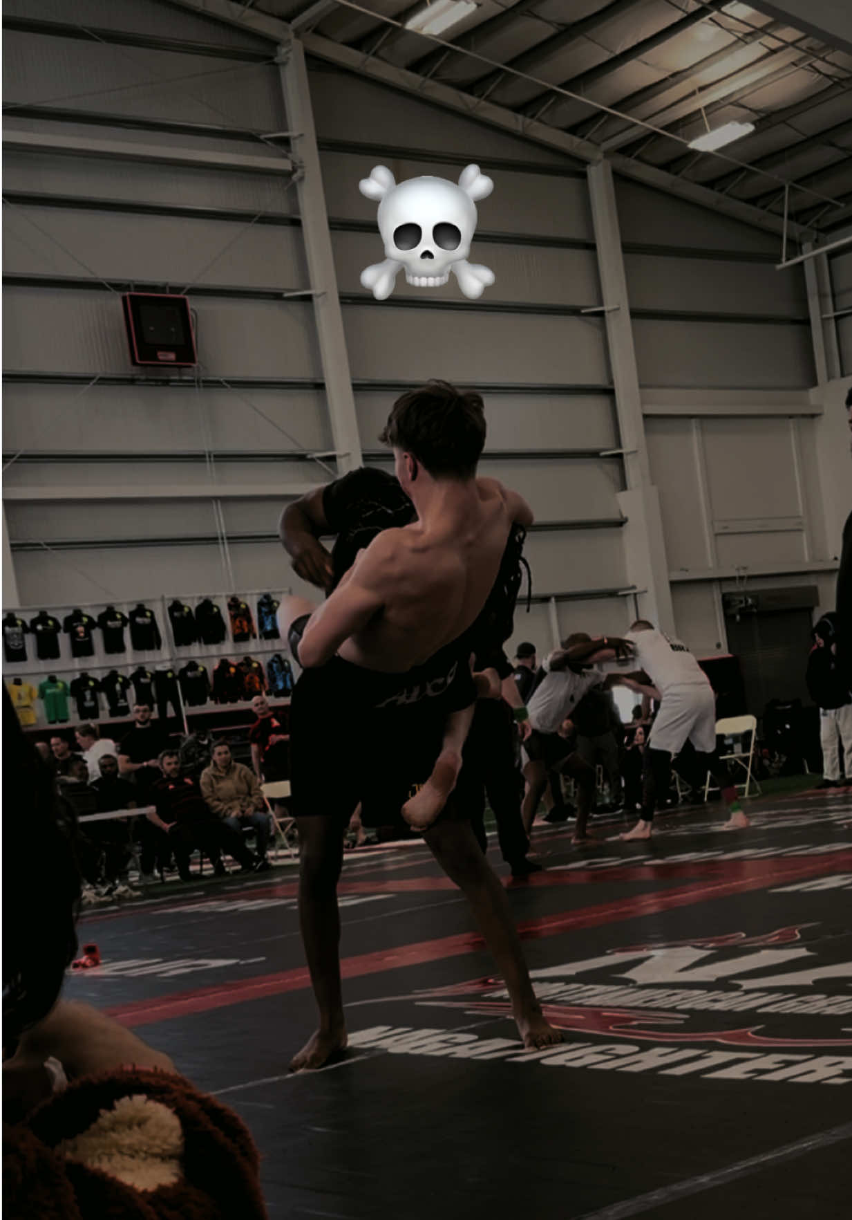 @thefunkygrappler