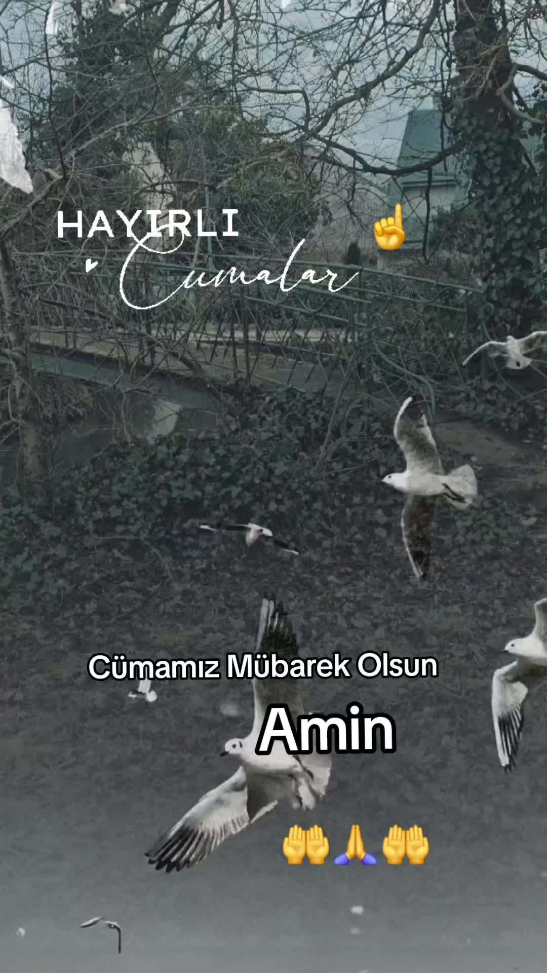 @🔥 KADER 🔥