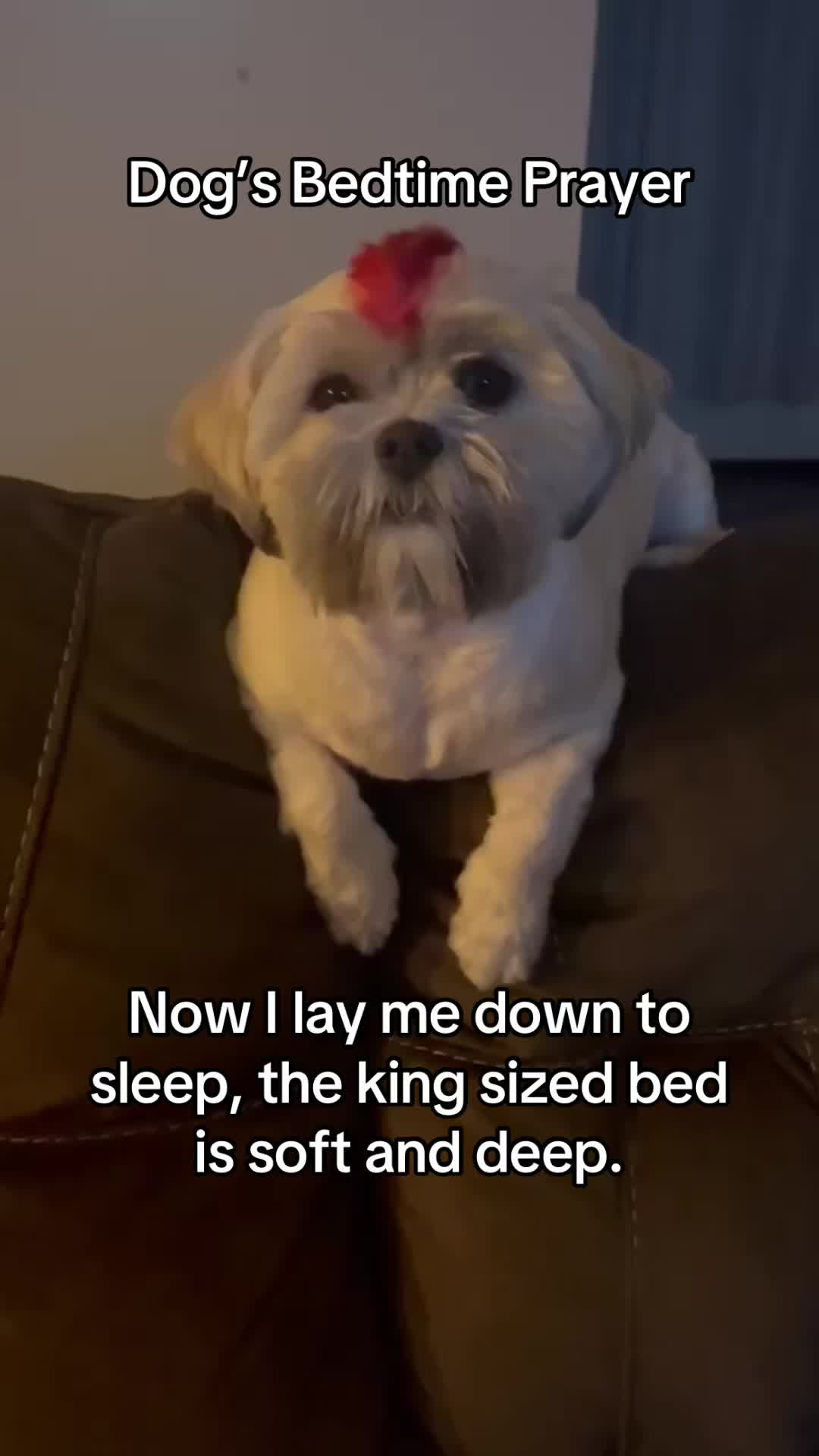 @CaptJackandCrew