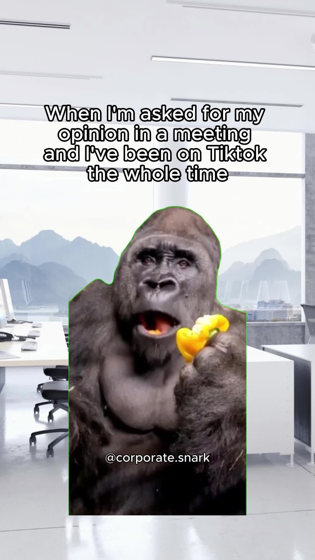 @Corporate Snark