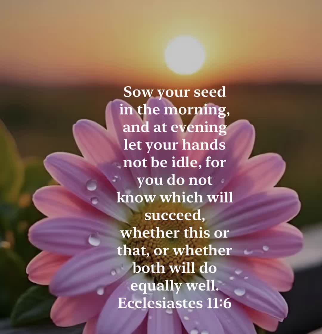 @Love Fulfills the Law