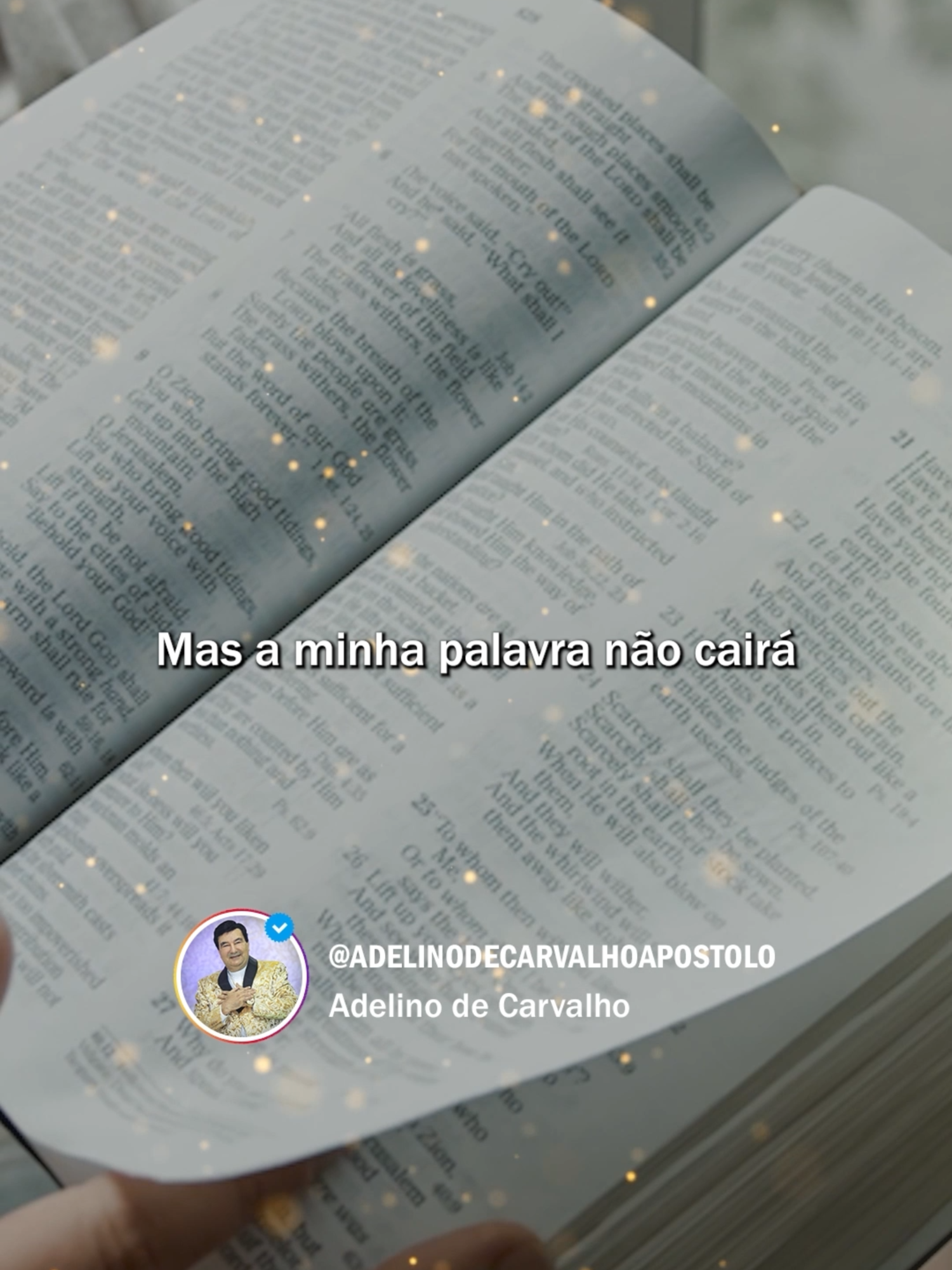 @Apóstolo Adelino de Carvalho