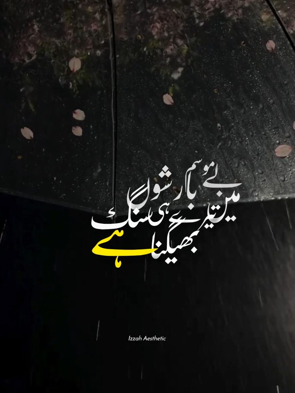 @𝙄 𝙕 𝙕 𝘼 𝙃 🕊️•